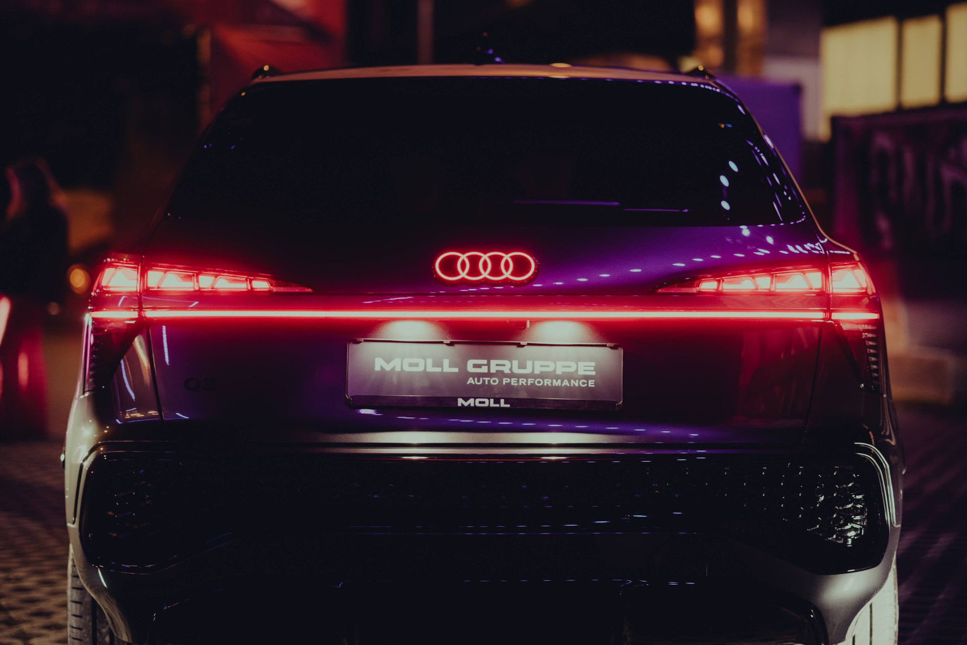 Rhein Riff Moll (Audi), guest experience detail